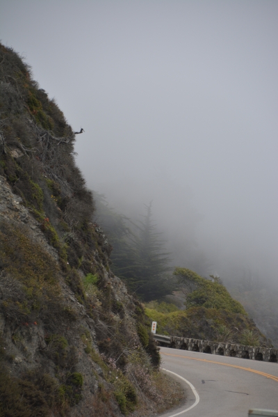 Pacificn Coast Highway in Nebel