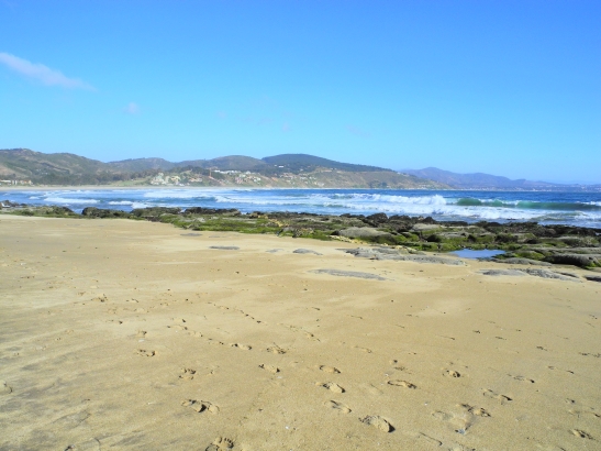 Playa Cachagua